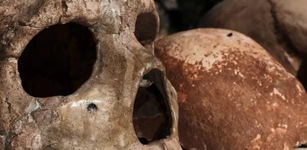 Nossa espécie quase foi extinta e poucos primitivos nos salvaram
