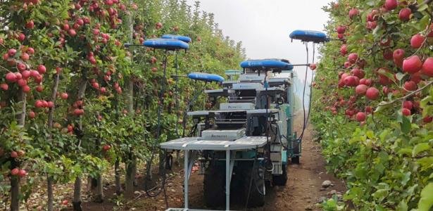 Robôs com braços mecânicos e ventosas são programados para colher frutas