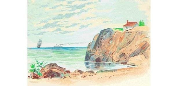 Você consegue enxergar os quatro animais escondidos nesta imagem?