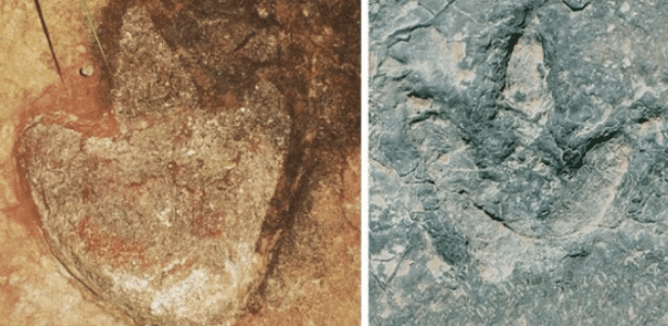 Onde surgiram os dinossauros? Cientistas descobrem nova resposta