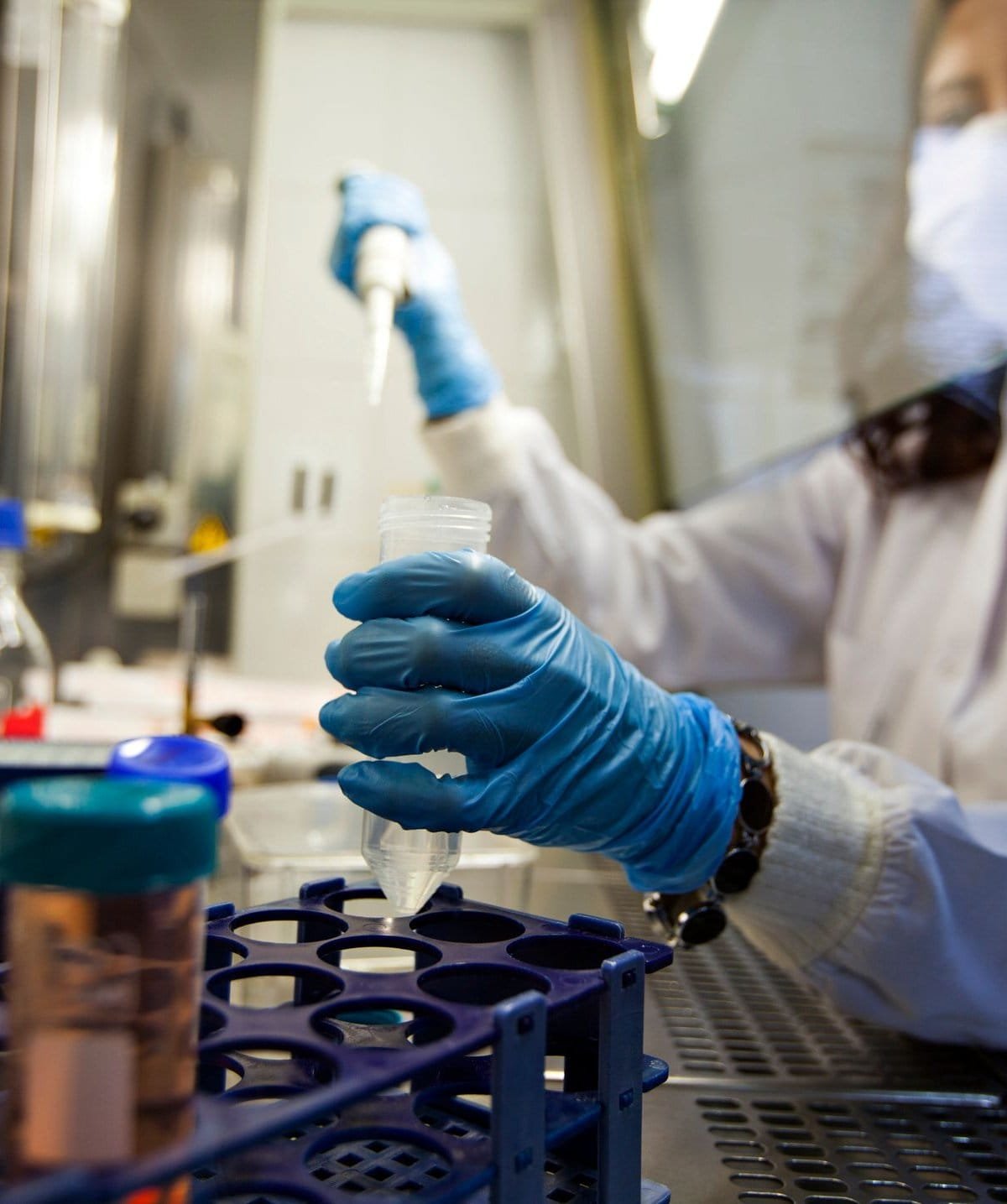 Células de gordura podem ser nova arma para combater o câncer, sugere estudo