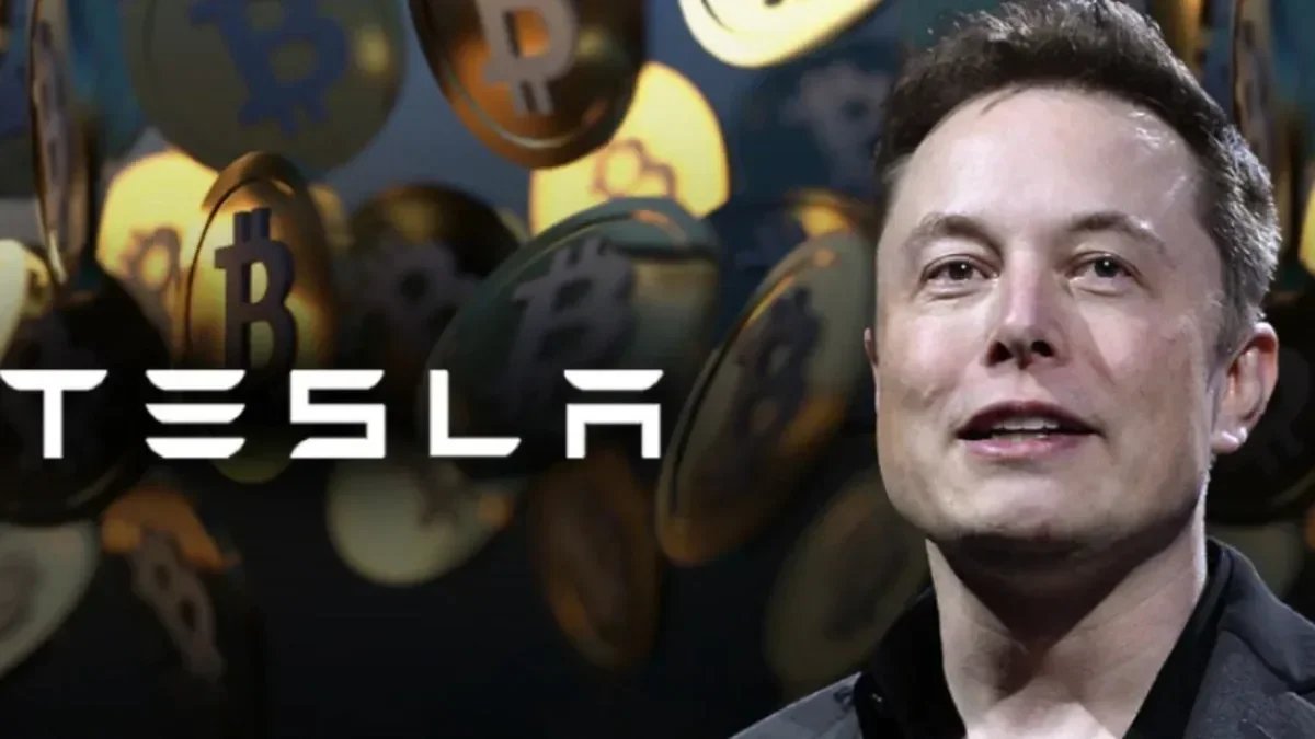 Pane no sistema, alguém me desconfigurou – The BRIEF