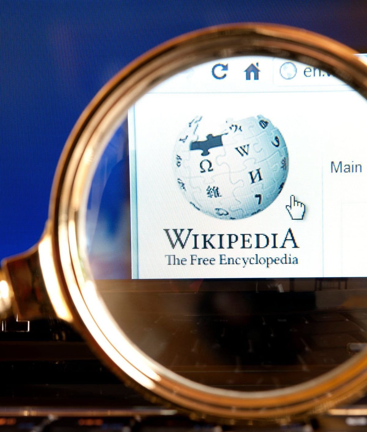 WikiTok: site com a interface do TikTok exibe artigos da Wikipedia em um feed infinito