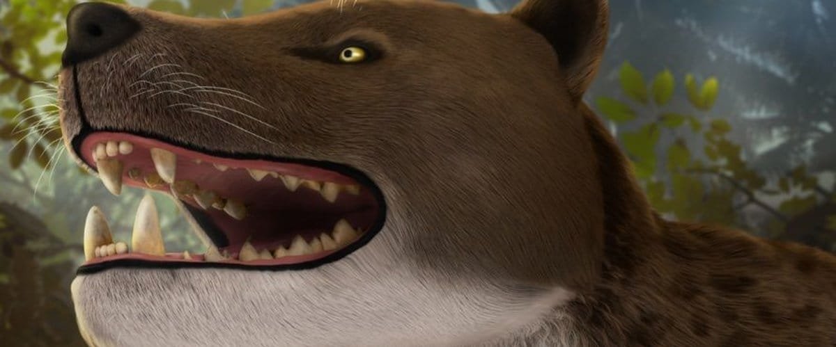 Cientistas acham crânio de ‘superpredador’ que habitou o Egito há 30 milhões de anos