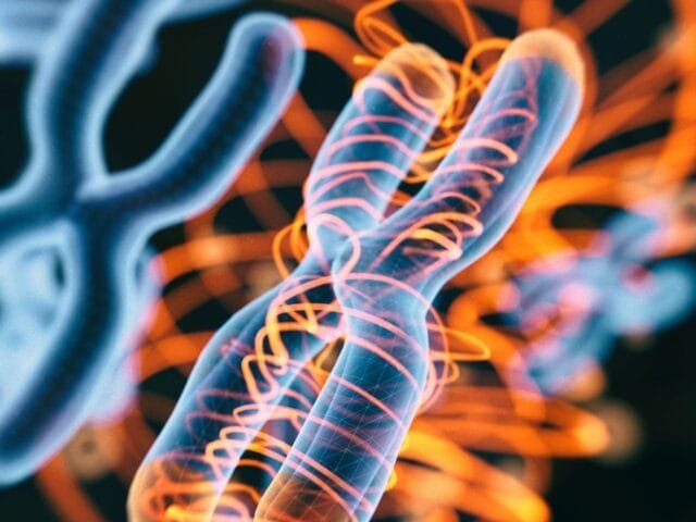 A herança genética do trauma: estudo revela o impacto na violência no DNA