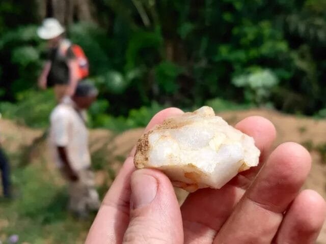 Primeiros humanos viveram em florestas tropicais há 150 mil anos, diz estudo