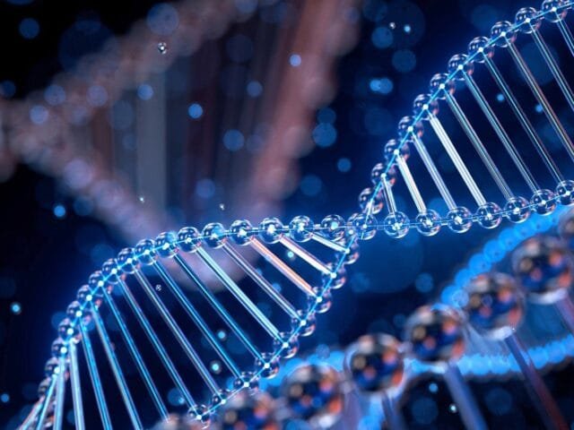 Afinal, o que é a epigenética?