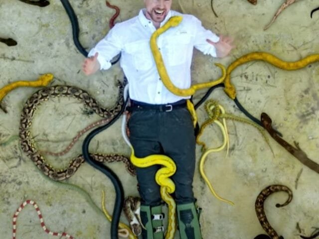 MrBeast passa pela Ilha da Queimada Grande (SP) em aventura pelos lugares mais perigosos do mundo