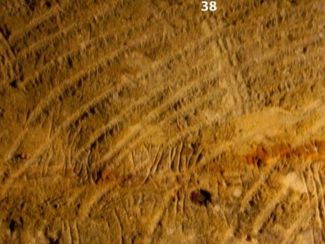 Muitas pinturas rupestres pré-históricas podem ter sido feitas por crianças