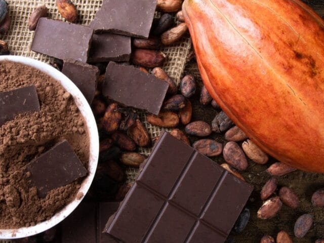 Fim do chocolate? Os esforços da ciência para evitar a extinção do cacau