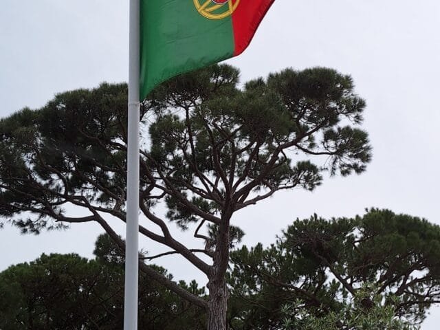 Internet em Portugal é cara e maluca para brasileiro: vou te ensinar a navegar