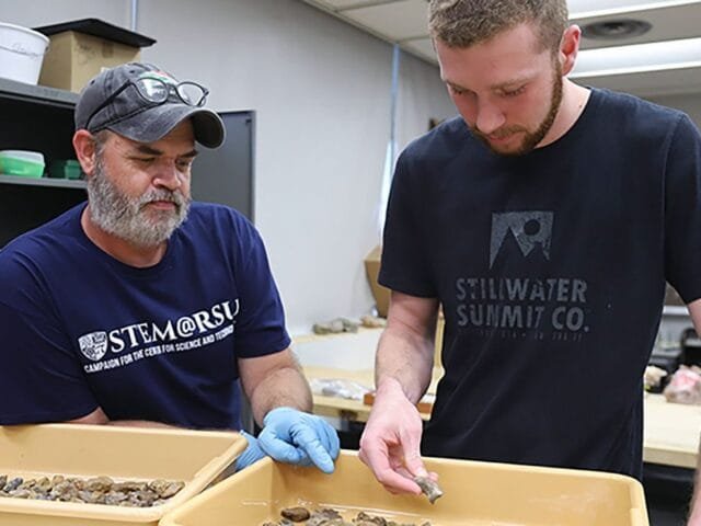 Estudante descobre por acaso fóssil de gema rara com 300 milhões de anos