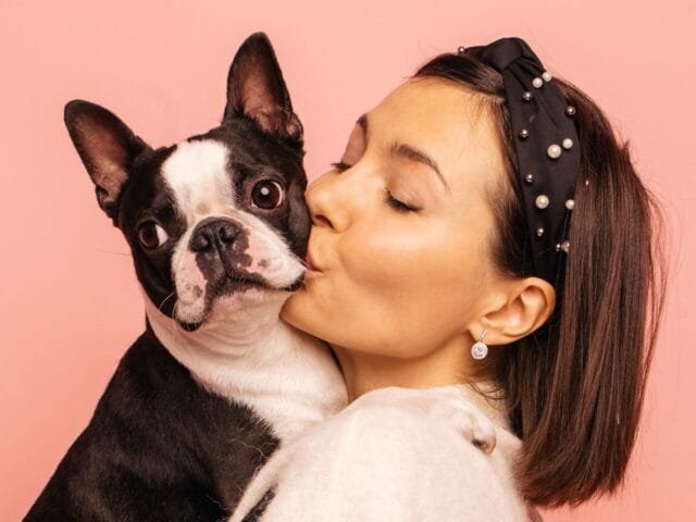 SinPatinhas: a nova ferramenta do governo para você registrar seus pets