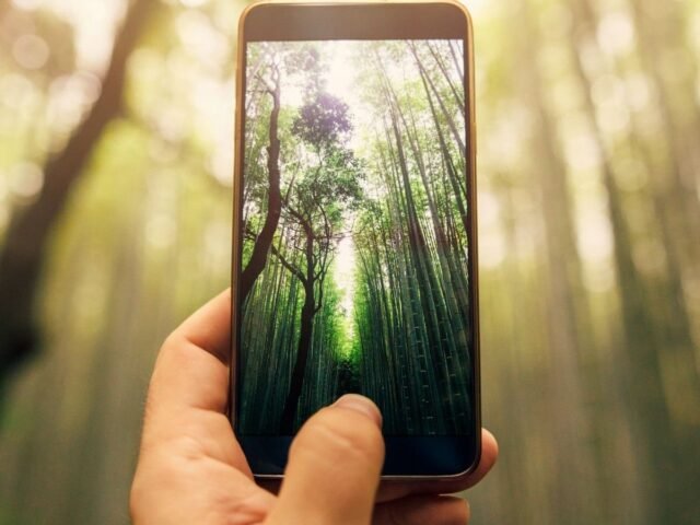 Sabia como converter suas fotos para Ultra HDR no Google Fotos