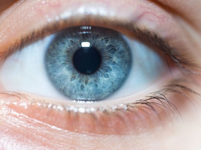 Cor jamais vista pelo olho humano é mostrada a 5 pessoas em laboratório