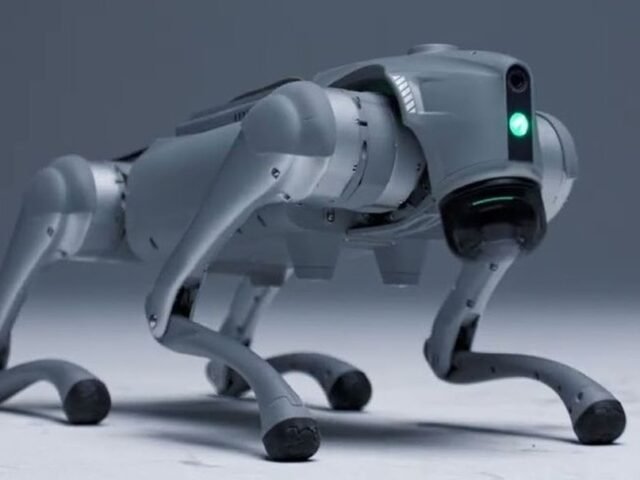 Startup apresenta cão-robô com IA que ‘aprende igual aos humanos’