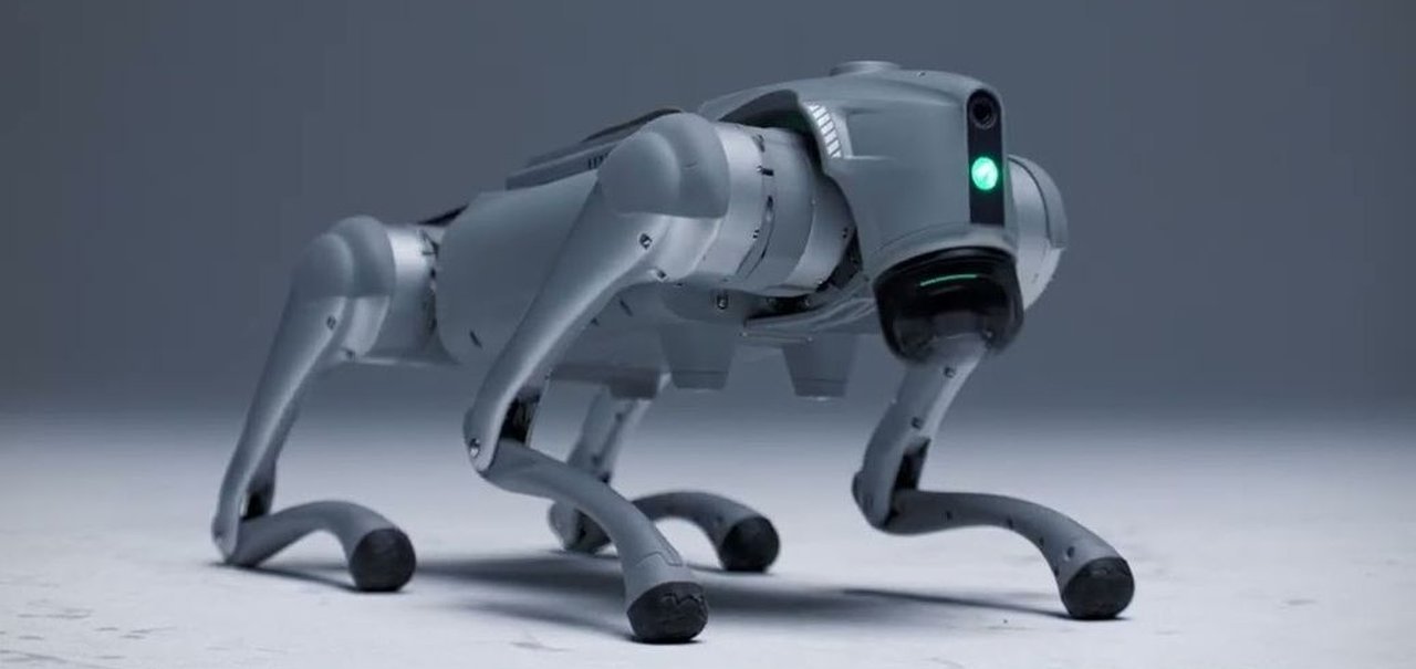 Startup apresenta cão-robô com IA que ‘aprende igual aos humanos’
