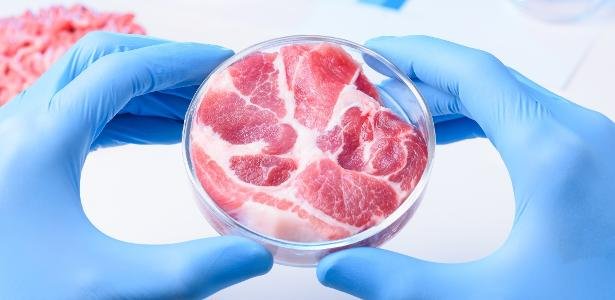carne de laboratório pode ajudar na medicina