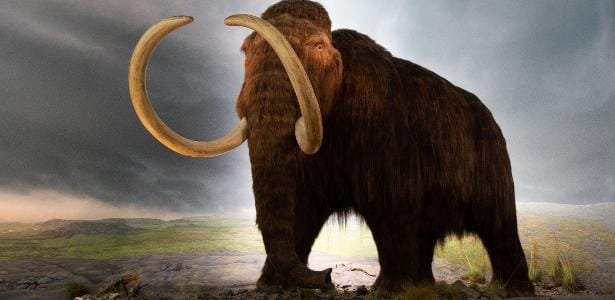 Podemos mesmo ‘ressuscitar’ animais extintos ou só criar sósias?