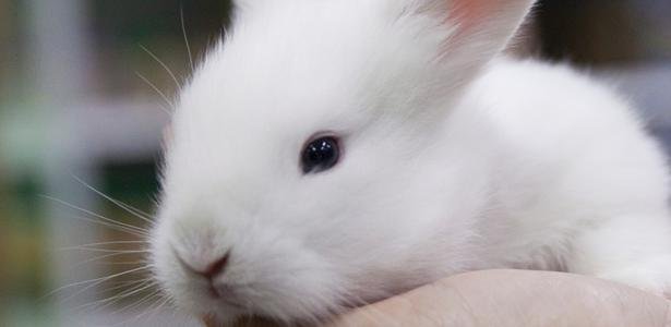 44 frases alegres para compartilhar agora