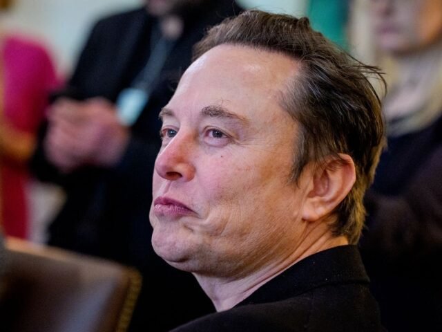 Tesla não quer substituir Elon Musk como CEO; empresa desmente