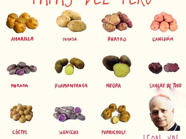 'Mais latino que o elenco de Emília Perez': novo papa gera memes nas redes sociais