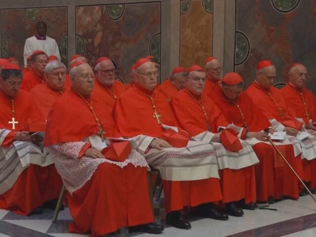 Campanha eleitoral, Miss Universo e reality show: os memes brasileiros do conclave