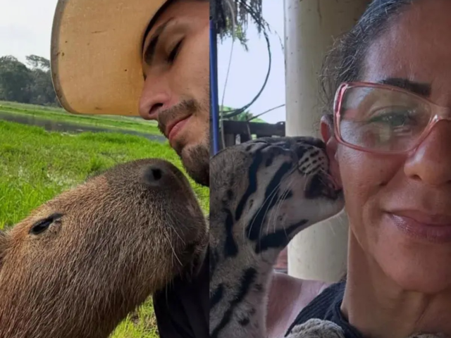 Os influencers que ganham fama exibindo animais selvagens como pets