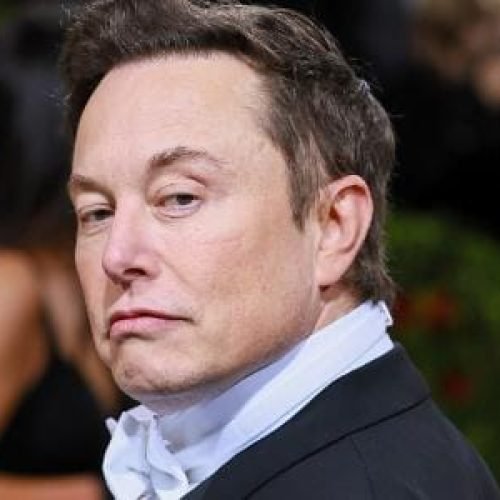 o que Elon Musk falou em entrevista polêmica