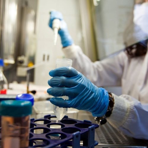 Células de gordura podem ser nova arma para combater o câncer, sugere estudo