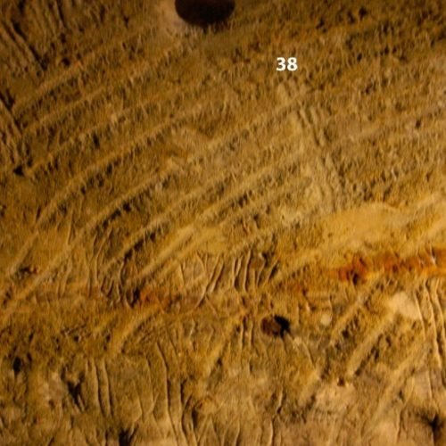 Muitas pinturas rupestres pré-históricas podem ter sido feitas por crianças