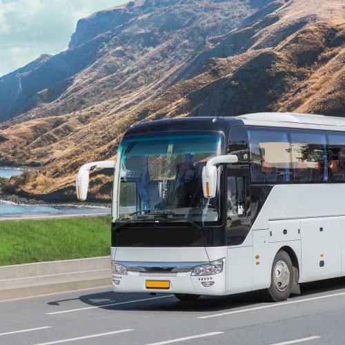 Inovação e digitalização: tendências para o setor rodoviário em 2025