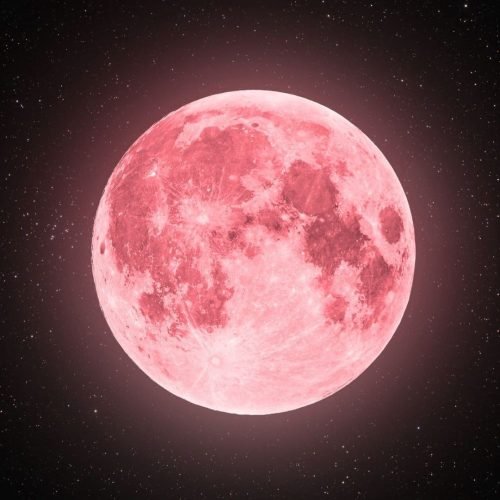 Lua Rosa acontecerá neste domingo (13); entenda o fenômeno