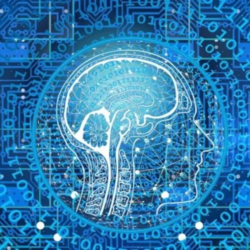 A inteligência artificial que estuda o mundo sozinha – The BRIEF