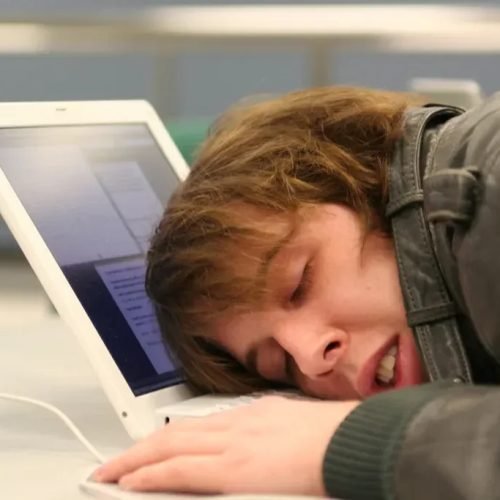 Brilho eterno de uma menta sem lembranças realidade? – The BRIEF