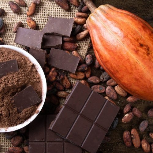 Fim do chocolate? Os esforços da ciência para evitar a extinção do cacau