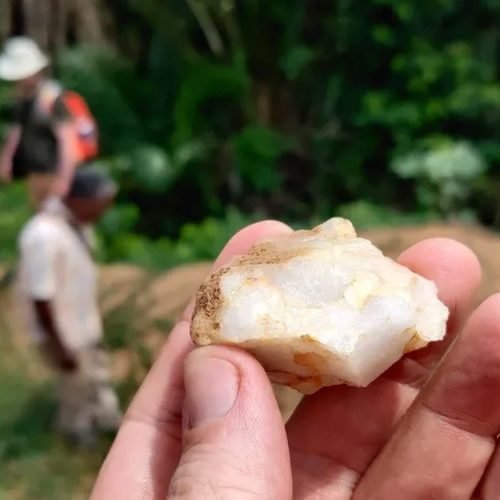 Primeiros humanos viveram em florestas tropicais há 150 mil anos, diz estudo