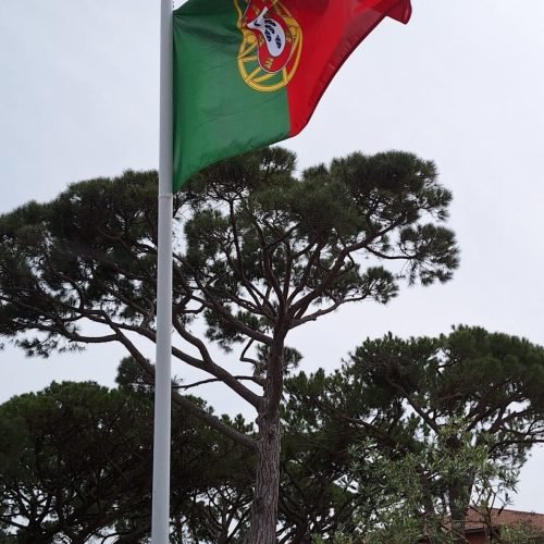 Internet em Portugal é cara e maluca para brasileiro: vou te ensinar a navegar