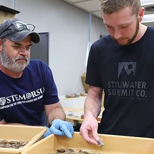 Estudante descobre por acaso fóssil de gema rara com 300 milhões de anos