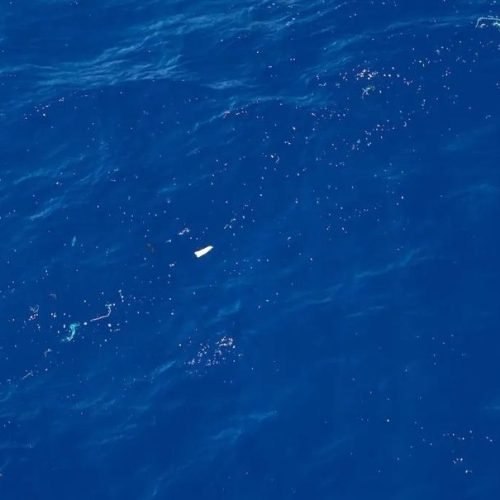 A Grande Mancha de Lixo do Pacífico está se transformando em um ecossistema