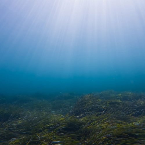 Estudo descobre anomalia radioativa no fundo do Oceano Pacífico