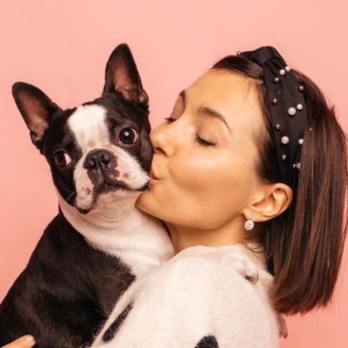 SinPatinhas: a nova ferramenta do governo para você registrar seus pets