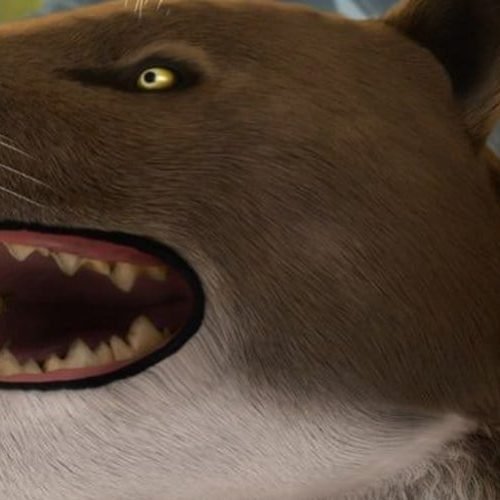 Cientistas acham crânio de ‘superpredador’ que habitou o Egito há 30 milhões de anos