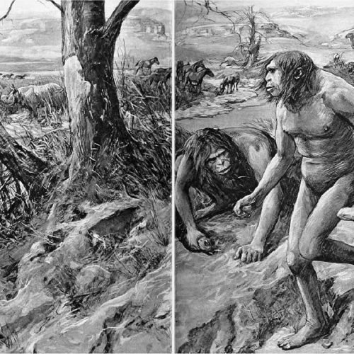 Linhagem humana desconhecida pode ter ligado Homo sapiens e neandertais