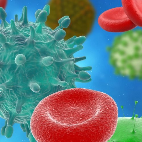 Viroides: as ‘fitinhas’ de RNA que sequestram enzimas e entram em nossas células