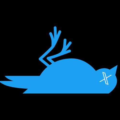 Twitter morreu, mas o substituto ainda não apareceu – The BRIEF