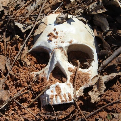 Estudo ‘solucionou’ mistério sobre crânios decapitados da Idade do Ferro na Espanha