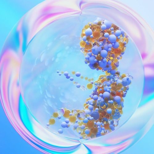 O que é microquimerismo fetal?