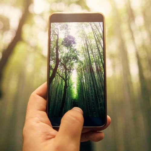 Sabia como converter suas fotos para Ultra HDR no Google Fotos