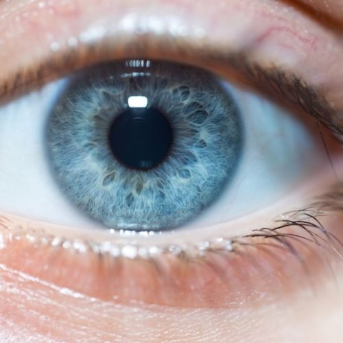 Cor jamais vista pelo olho humano é mostrada a 5 pessoas em laboratório